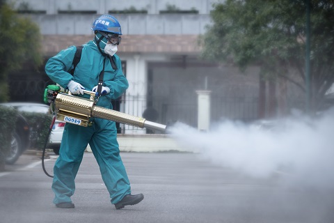 澄邁縣城建成區鞏固國家衛生縣城病媒生物防制工作匯報